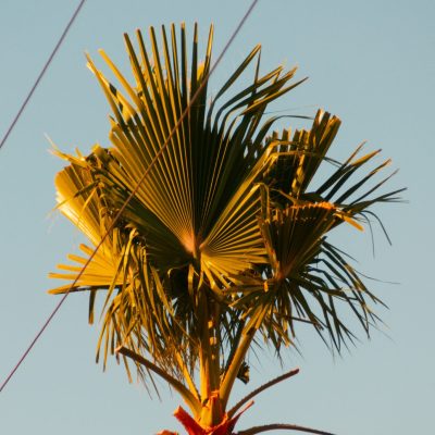 samuel-healey-zWM1rgMwWy4-unsplash